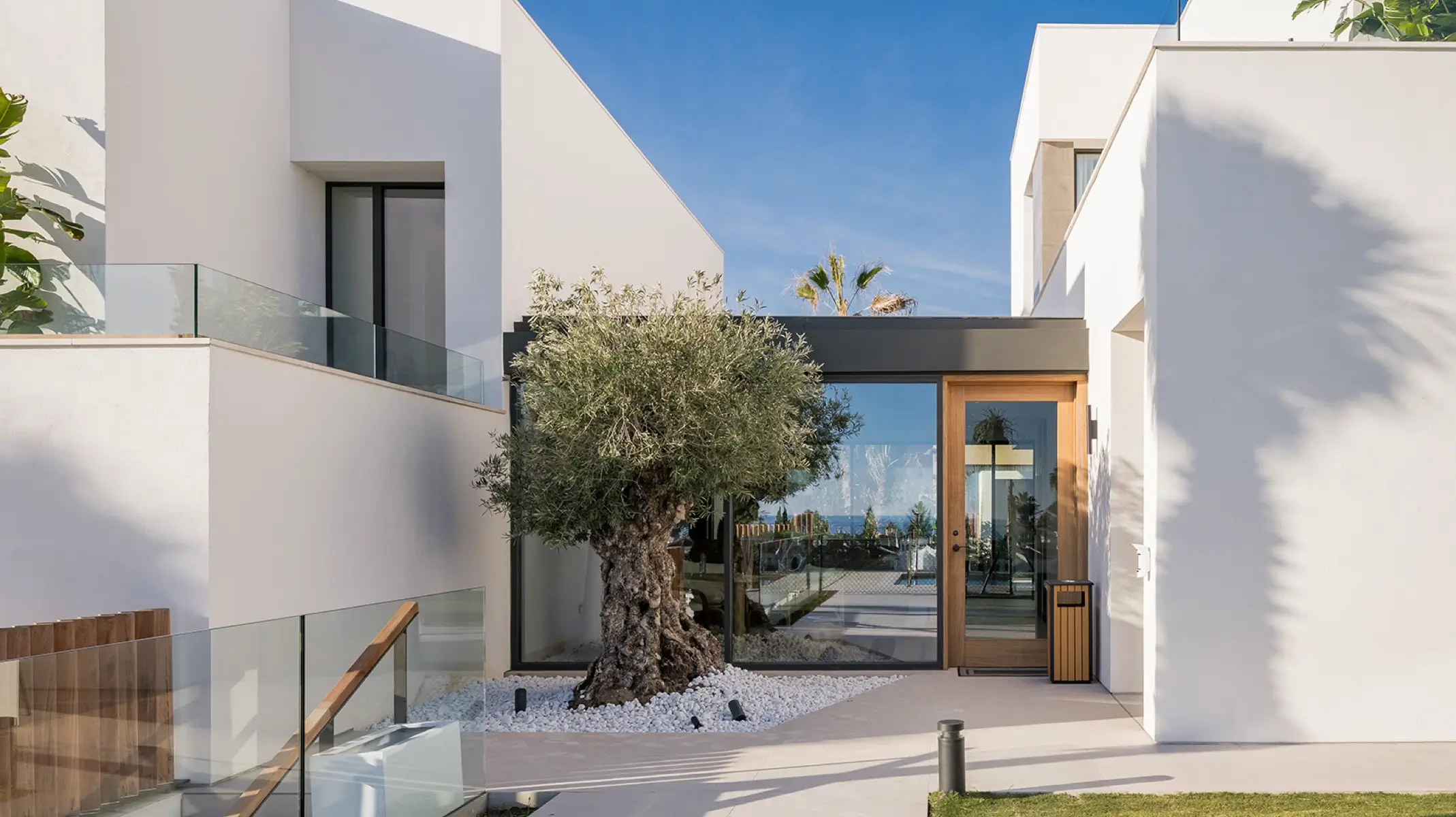 Naghoi exterior entrance — century-old olive tree, white contemporary architecture and Mediterranean garden, Costa del Sol, Spain.